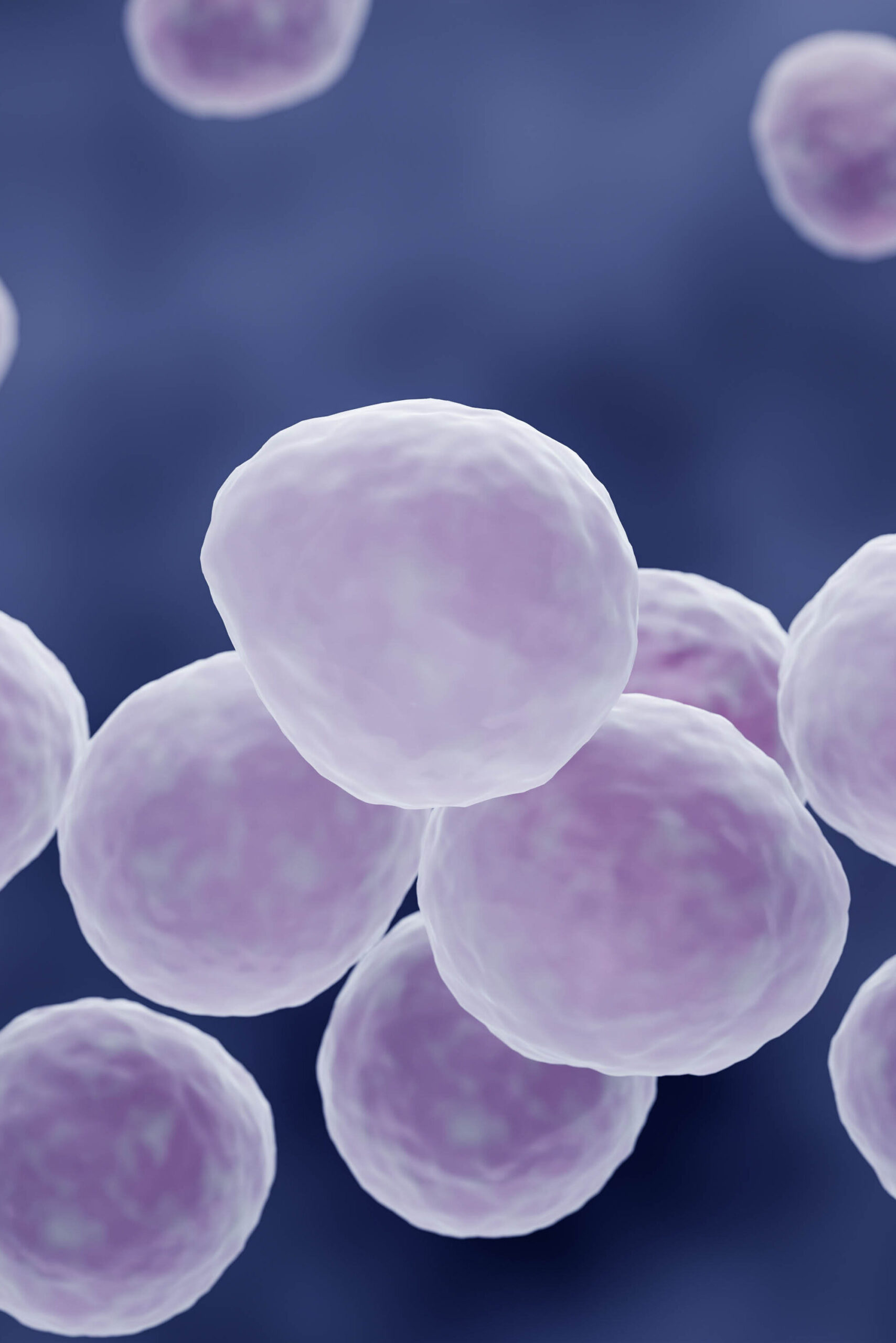 Mycoplasma bacteria illustration