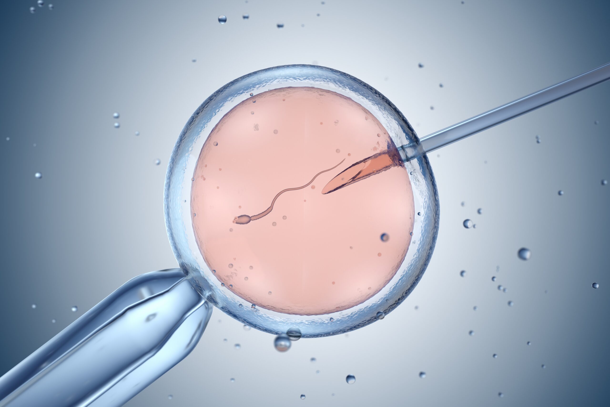 Artificial insemination or in vitro fertilization